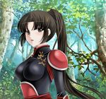  bangs blunt_bangs breasts brown_hair forest inuyasha large_breasts long_hair nature plant ponytail sango solo tamamon tree upper_body 