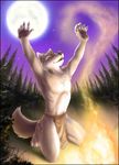  canine fire forest furnal_equinox_2011 kneeling loincloth magic_user male mammal moon native scenery shaman smoke solo stars tree tribal tribal_spellcaster underwear wolf wood zen 