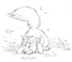  ambiguous_gender ass_up avoid_posting canine conditional_dnp cute ear_fluff eyes_closed falling_leaves feral fluffy_tail fox grass greyscale lying male mammal monochrome non-anthro on_front pointy_ears scared sketch solo tani_da_real wind 