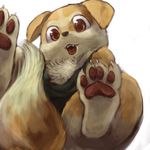  cub dog gou hindpaw looking_at_viewer mammal pawpads paws plain_background puppy solo teeth white_background young 