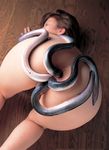  anal_insertion ass eel japan photo quadruple_penetration real source_request vaginal_insertion 