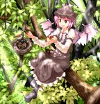  animal_ears bird bird_nest brown_dress dress feeding hat in_tree mystia_lorelei ruu_(tksymkw) sitting sitting_in_tree solo sparrow touhou tree wings 