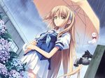  blonde flower game_cg hydrangea kusukusu long_hair moshimo_ashita_ga_hare_naraba nonosaki_akiho rain school_uniform tagme umbrella 