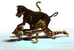  alpha_channel annonymouse anthro anthro_bestiality anthro_on_feral bestiality canine dog feline female feral hand_on_head interspecies male mammal melody plain_background sex straight tiger transparent_background 