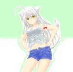  ahoge animal_ears bare_shoulders braid breasts cat_tail denim denim_shorts dog_days female gold_eyes hands_on_hips highres hotpants leonmitchelli_galette_des_rois long_hair midriff navel open_fly panties short_shorts shorts solo tail thong unbuttoned underwear unzipped white_hair yellow_eyes 