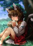  ^_^ against_tree animal_ears blush brown_hair cat_ears cat_tail chen closed_eyes dappled_sunlight dress eating food grass happy hat jewelry leaf legs multiple_tails sandwich short_hair single_earring sitting solo sunlight tail touhou tree yana_(nekoarashi) 