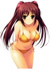  bikini breasts cameltoe cleavage find_similar kousaka_tamaki large_breasts mizugi mugenkidou to_heart to_heart_2 tomose_shunsaku 
