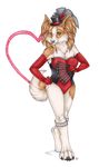  anthro bow burlesque canine dog fan female gloves hat invalid_tag korrok looking_at_viewer mammal moulin_rouge papillon pinup pose showgirl solo 