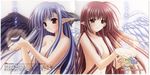  lisianthus nerine nishimata_aoi nude shuffle! suzuhira_hiro 