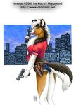  border_collie butt canine clothing denim_shorts dog female gun holster kacey looking_at_viewer mammal ranged_weapon shorts solo tongue weapon 