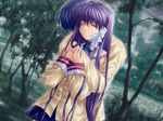  cg clannad fujibayashi_kyou game_cg key okazaki_tomoya tagme 