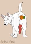  anal anal_penetration anatomically_correct animal_genitalia anus balls bolt bolt_(film) butt canine canine_penis carrot disney dog erection feral fur german_shepherd knot looking_at_viewer male mammal mr_carrot penetration penis plain_background polar_sun presenting raised_tail smile solo white_fur 