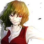  bad_id bad_pixiv_id close-up closed_mouth face green_hair highres kazami_yuuka lips pesoko petals plaid plaid_vest red_eyes short_hair smile solo touhou vest white_background 