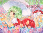  at_classics chin_rest feet_up flower green_hair highres kazami_yuuka loafers looking_at_viewer lying marker_(medium) nib_pen_(medium) on_stomach parasol plaid plaid_skirt plaid_vest poppy_(flower) puffy_short_sleeves puffy_sleeves red_eyes red_footwear rose sample shoes short_hair short_sleeves skirt skirt_set smile socks solo touhou traditional_media tulip umbrella vest white_legwear wisteria 