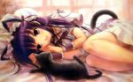  animal animal_ears cat goto_p hazuki tail tsukuyomi_moon_phase 