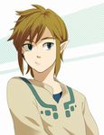  blonde_hair blue_eyes earrings jewelry link male_focus otton pointy_ears solo the_legend_of_zelda the_legend_of_zelda:_skyward_sword 