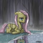  cute equine female feral fluttershy_(mlp) friendship_is_magic horse john_joseco mammal my_little_pony pegasus pony rain reflection solo wings 