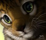  cat close-up cub cute daww feline katanimate kitten male mammal portrait realistic solo whiskers young 