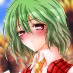  blurry blush close-up closed_mouth depth_of_field face flower green_hair hazuki_kasane kazami_yuuka plaid plaid_vest portrait raised_eyebrow red_eyes short_hair solo sunflower touhou vest 