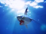  gen_3_pokemon nintendo no_humans pokemon pokemon_(creature) realistic shark sharpedo solo sunlight underwater 