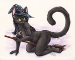  anthro black_cat black_fur black_hair breasts broom cat feline female fur hair hat magic_user mammal nipples nude plain_background signature silentravyn solo white_background witch wizard_hat 