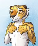  breasts bust catwolf feline female kung_fu_panda mammal master_tigress nipples solo tiger unimpressed whiskers 