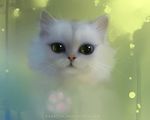  1280x1024 apofiss cat cute feline fur green green_eyes mammal pawprint solo wallpaper whiskers white white_fur 