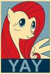  election equestria-election equine female feral fluttershy_(mlp) friendship_is_magic horse mammal my_little_pony pegasus pony poster propaganda shepard_fairey solo wings yay 