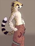  clothing demitri_cheetah feline knife male mammal pants red_eyes solo syynx tail topless 