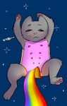  feline mammal multi_nipple nipples nyan_cat onta poptart rainbow solo what 