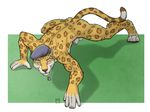  amber_eyes balls base_progression feline hat jaguar looking_at_viewer male mammal nude penis penis_tip sheath solo tail tsaiwolf 