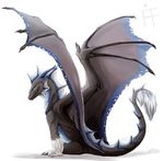  black blue_markings claws dragon feral firefeathers fluff grey_body horn horns looking_at_viewer markings non-anthro plain_background scalie sitting solo tail white_background white_belly wings 
