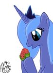  alicorn blue_hair crown equine female feral friendship_is_magic hair horn mammal my_little_pony plain_background princess_luna_(mlp) solo unicorn unknown_artist watermelon white_background 