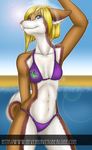  beach bikini blonde_hair blue_eyes canine cinnamon clothed clothing doc dog female hair mammal sand seaside skimpy swimsuit water 