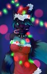  cat christmas christmas_lights demicoeur dress feline female hat holidays kisha looking_at_viewer mammal santa_hat solo 