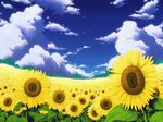  cloud day field flower garden_of_the_sun looking_at_viewer no_humans scenery sky sunflower touhou wallpaper 