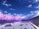  cherry_blossoms cloud day hakugyokurou no_humans rock_garden scenery sky touhou tree wallpaper 