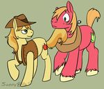  braeburn_(mlp) equine feral flirting friendship_is_magic hat horse male mammal my_little_pony pony sleeves sunshine-blitz 