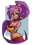  2018 blue_eyes breasts clothing dark_skin ear_piercing female genie hair humanoid long_hair not_furry piercing pointy_ears ponytail purple_hair shantae shantae_(series) smile solo video_games zakusi 