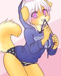  animal_ears animal_tail breasts canine cu
te dog female furry large_breasts panties pink_eyes smile sweater tail the-kitty_(artist) thekitty underwear waitress white_hair 