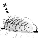  artist_request cat cat_focus commentary copyright_request greyscale lowres monochrome no_humans oekaki sleeping zzz 