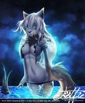  brown_eyes canine female fox looking_at_viewer moon skimpy solo tofu93 
