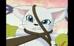  angry blue_eyes cat digimon digimon_kaiser digimon_zero_two gatomon imminent rape scared tailmon whip 