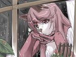  animal_ears bug furry highres insect ladybug leaf long_hair looking_down pink_hair plant rain sad snail solo sumomo_kpa window 