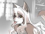  :p animal_ears furry long_hair sketch solo sumomo_kpa tail tongue tongue_out white_hair 