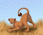  disney feline female feral kisu lion lioness mammal nala pussy raised_tail solo tail the_lion_king 