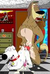  all_fours anal animal_genitalia anthro ass_up brian_griffin butt canine canine_penis collar crossover cum cum_on_butt cum_on_knot cum_on_penis cum_on_self cum_on_stomach cum_on_thigh cum_while_penetrated derp dog doggystyle dukey duo excessive_cum family_guy from_behind fucked_silly gay johnny_test_(series) knot male mammal messy penetration penis raised_tail sex wildwulf 