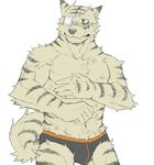  abstract_background bo-gilliam canine chromatic_background eye_patch eyewear green_eyes male mammal muscles nervous patch plain_background solo sweat tail topless underwear white_background wolf 