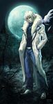  absurdres bad_deviantart_id bad_id castlevania castlevania:_aria_of_sorrow full_moon hands_in_pockets highres male_focus moon mountain solo soma_cruz steven_mack trench_coat turtleneck white_hair 