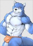  abstract_background blue blue_fur bulge canine chromatic_background fur male mammal muscles one_eye_closed plain_background pubes pubic_hair rix solo thong white_background wink wolf 